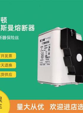 全新快速熔断器保险170M4982 170M4983 170M4984 170M4985
