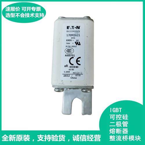 全新低压熔断器170M2616/2617/2618/2619/2620/2621