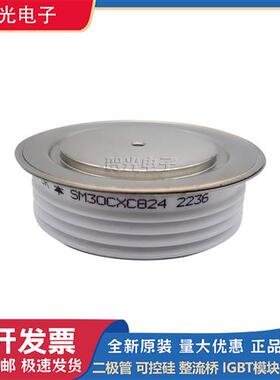模块SM30CXC824/T358N12TOF/T459N16TOF/T508N16TOF/T560N16TOF
