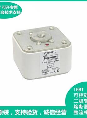 170M6410 6411 6412 6413全新低压熔断器