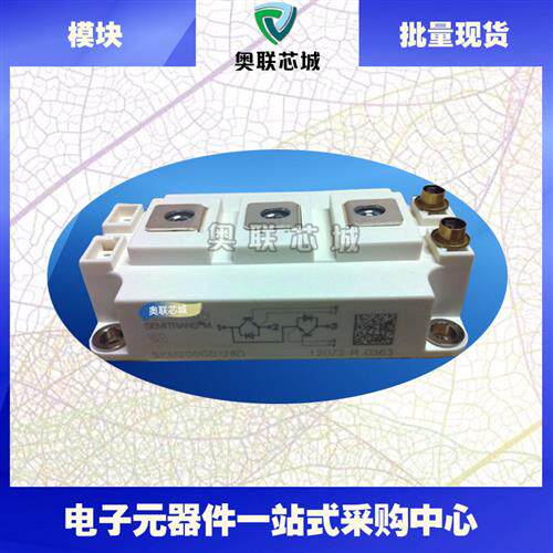 SKM200GB124D SKM200GB126D SKM200GB128D原装可控硅模块