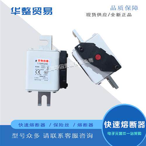 巴斯曼全新原装正品快速熔断器保险丝170M5249 170M5250