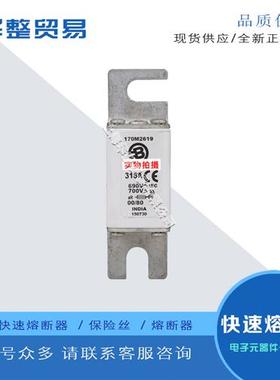 巴斯曼全新原装正品熔断器保险丝 170M2608 170M2609 170M2610 17
