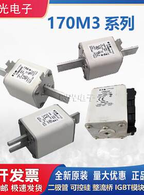 巴斯曼快速熔断器170M3363/3364/3365/3366/3367/3368/3369全系列