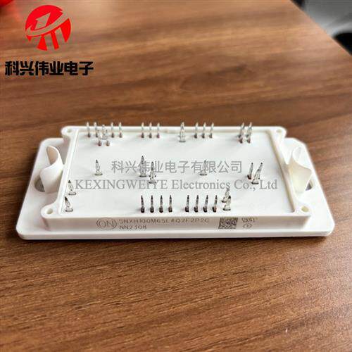 SNXH100M65L4Q2F2P2G SNXH100M65L3Q2F2P2G 新能源模块 包邮包好