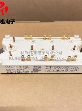 直拍SKM75GDL123D SKM75GDL124D SKM40GDL123D SKM75GDL126D 125D