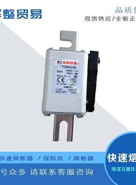 巴斯曼全新原装快速熔断器170M4262 170M4263 170M4264 170M4265