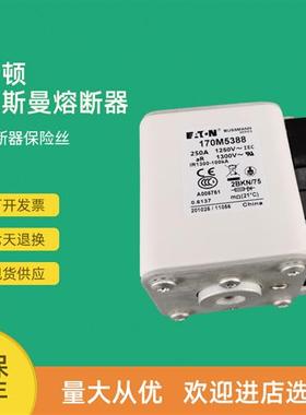 全新快速熔断器保险170M5389 170M5390 170M5391 170M5392