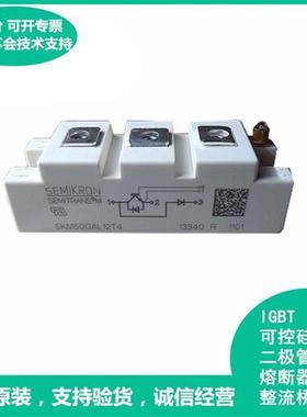 全新IGBT模块家用电工零配件SKM100GAL12T4 SKM100GAL12V