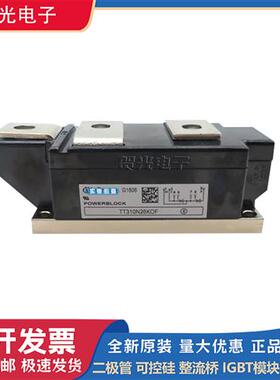 TT310N20KOF/22KOF TT310N24KOF TT310N26KOF功率可控硅模块.现货