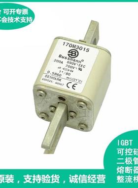 全巴斯曼170M3008 3009 3010 3011 3012 3013 3014 3015熔断器