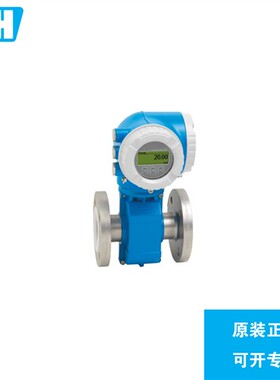 E+H 电磁流量计 5P3B65-ETT3/0 5P3B65-AAIBAAAFADED3KGAA2  正品