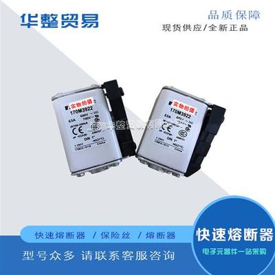 巴斯曼全新原装熔断器保险丝170M3969 170M3970 170M3971
