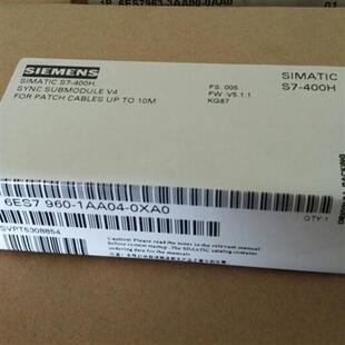 1AA04 1AB06 0XA0 5AA0 5KA0 模块6ES7960 5BA0 1AA06