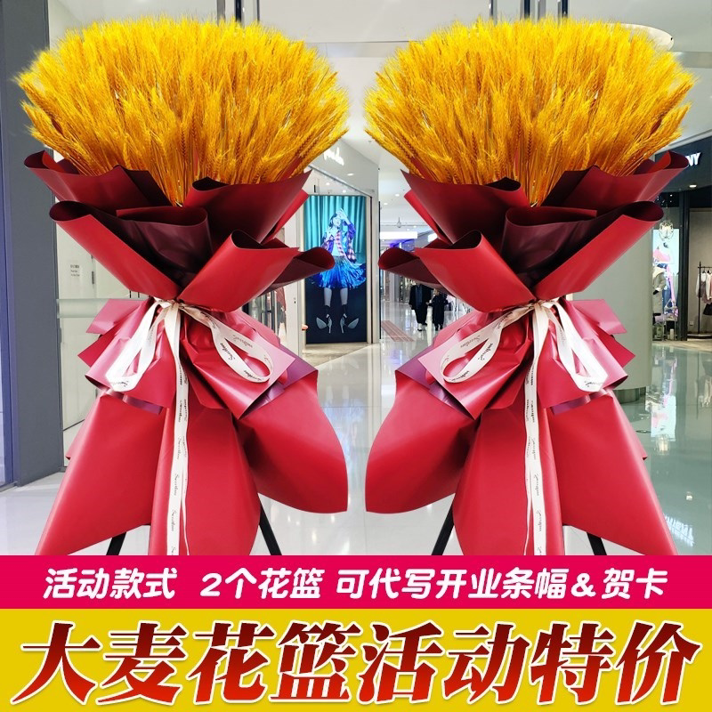 石家庄唐山保定同城配送大麦气球鲜花开业乔迁演出花篮发财树绿植
