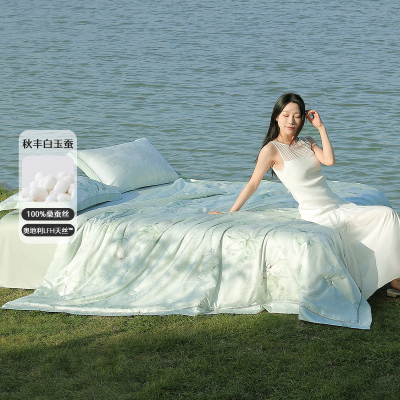 水星家纺天丝桑蚕丝凉感夏被水洗
