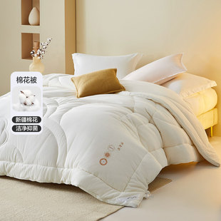 水星家纺棉花被子春秋被A类抗菌内外纯棉加厚冬被宿舍家用云小棉