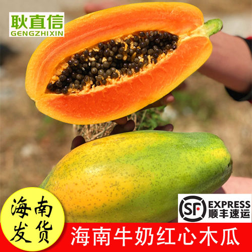 夏威夷木瓜质量怎么样 夏威夷木瓜口碑怎么样 小麦优选
