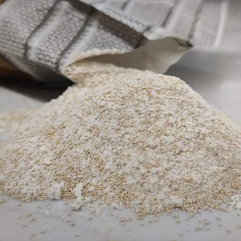 意大利进口yeast天然活性干酵母1kg 面包烘焙土司法棍专用发酵粉