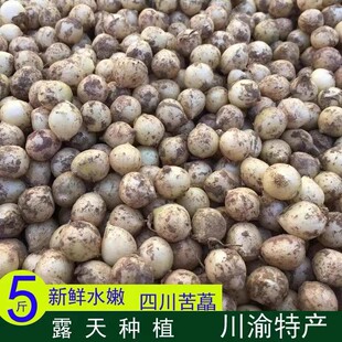 四川农家新鲜苦藠团葱小根葱野葱头苦茭藠头薤白小根葱苦葱头苦茭