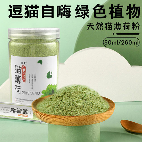 可填充幼猫50ml全阶段中国