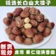2025年东北特产坚果大榛子炒货原味长白山休闲零食 包邮