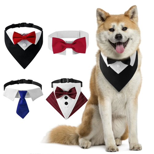 Свадебная галстука для собаки свадьба Свадьба Свадьба маленький, средний большой собачий джентльменский костюм Корги сражается с золотым лучами