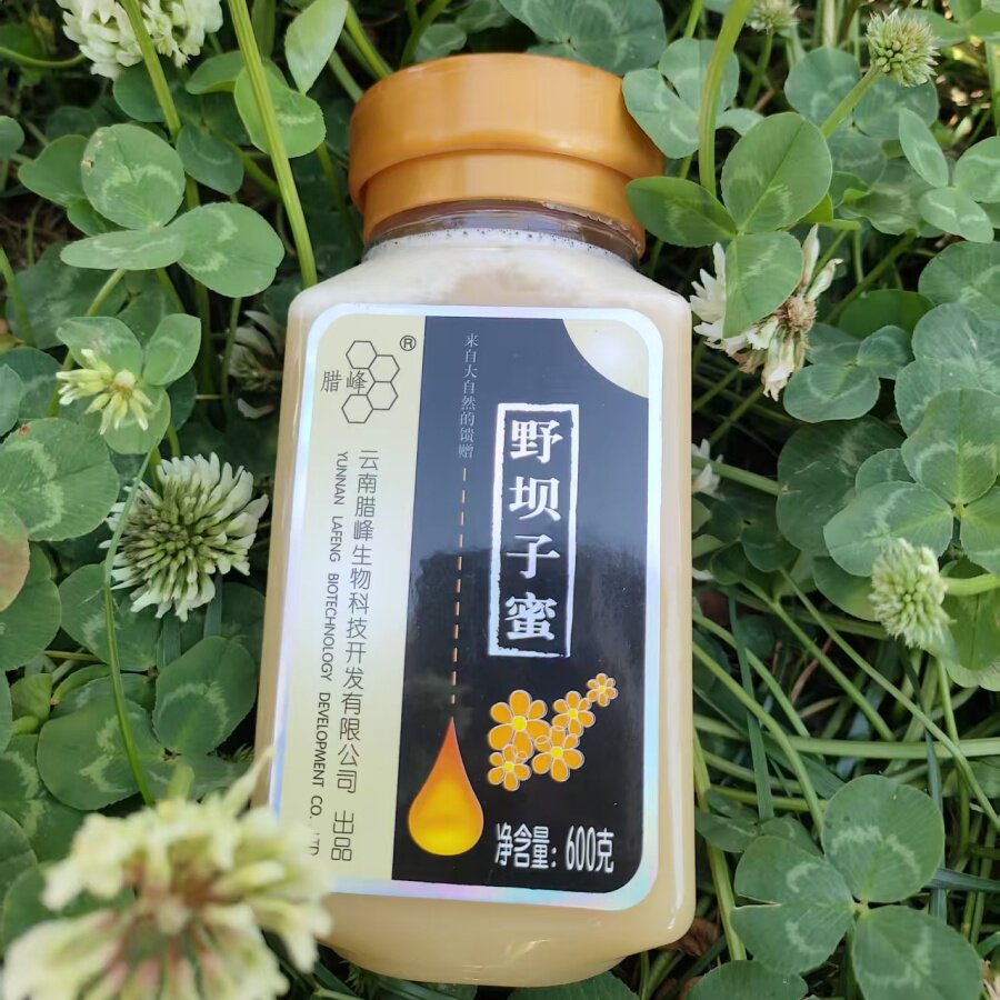 云南特产 腊峰蜂业罗平野坝子蜜 正宗罗平蜂蜜结晶蜜 工厂直发