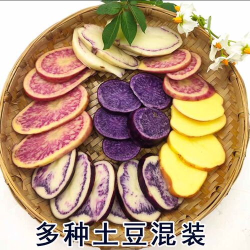 2026年新七彩土豆混装红心土豆紫土豆乌土豆黄心土豆坏果必赔