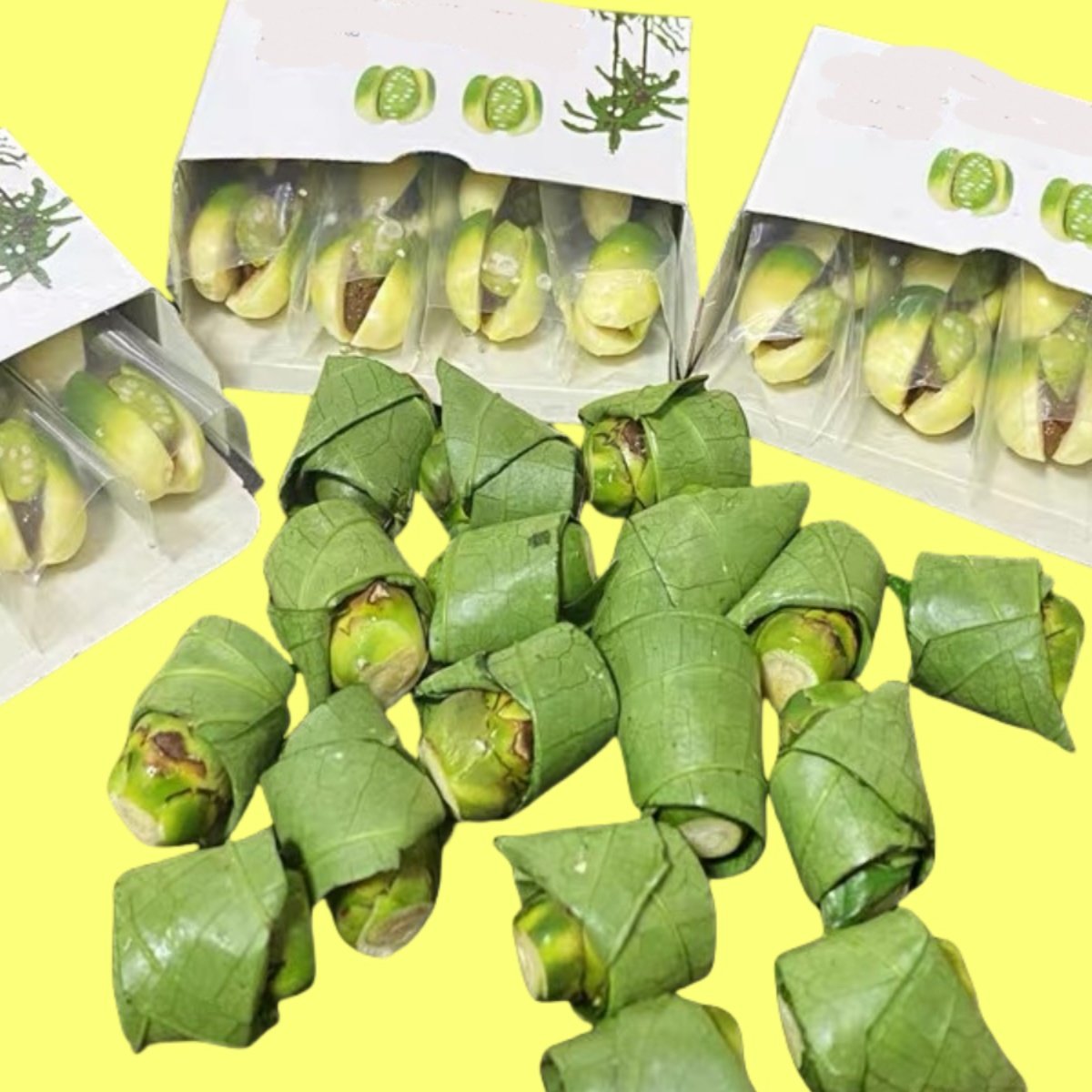 台灣檳榔青果新鲜嫩青仔槟榔颗白红包叶难吃非湖南海南果肉涩带劲