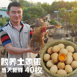 农家土鸡蛋40枚包邮散养新鲜草鸡蛋柴鸡蛋笨鸡蛋