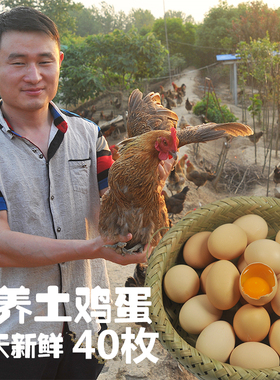 农家土鸡蛋40枚包邮散养新鲜草鸡蛋柴鸡蛋笨鸡蛋