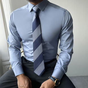 衬衫 辉先生秋季 长袖 衬衣免烫防水防油防污商务弹力纯色正装 潮 男士