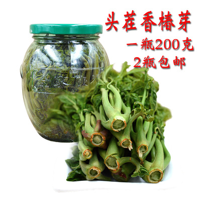 沂蒙山香椿新鲜腌制咸菜