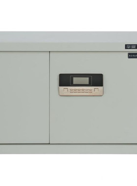 华鼎保密柜HD-506家用办公 电子保密柜 文件柜 双门无抽屉