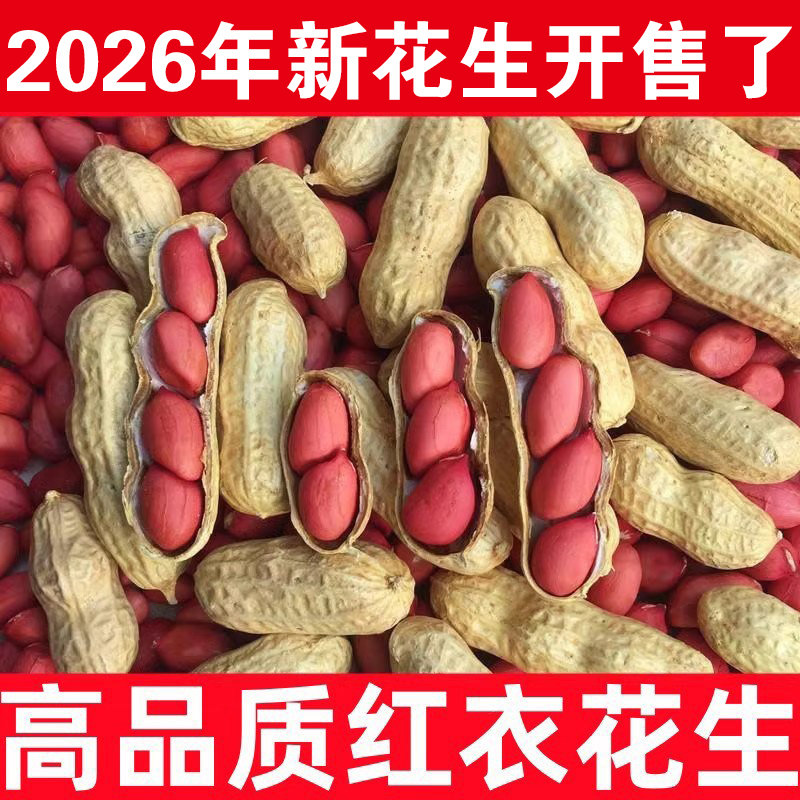 新货红皮干花生带壳生花生5斤红衣花生米生新晒干花生四粒红高产