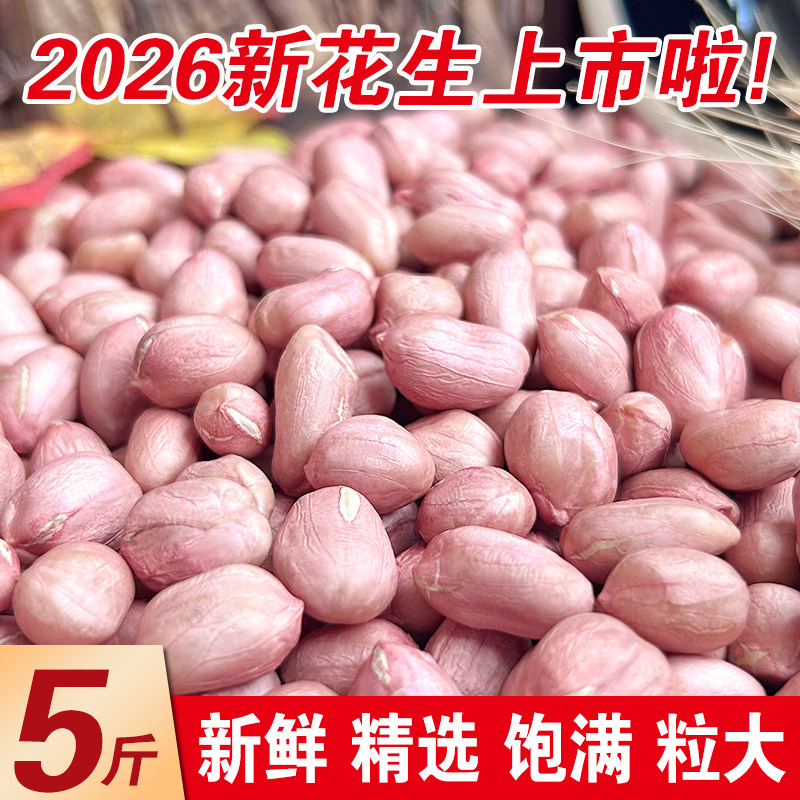 河南特产大粒花生米农家自产新鲜