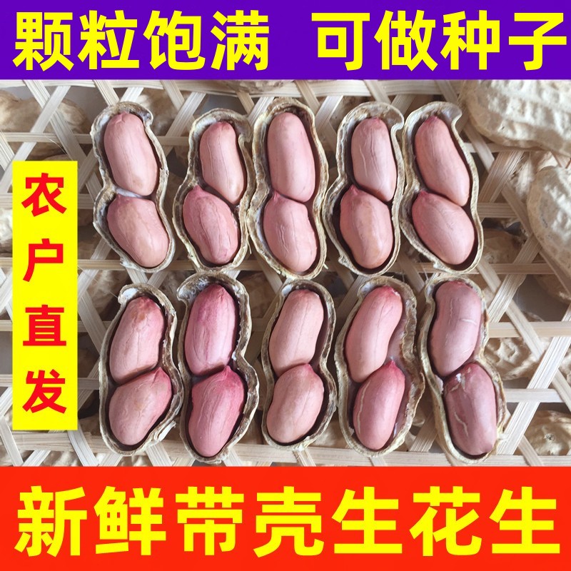 带壳生花生新鲜干花生晒干大粒