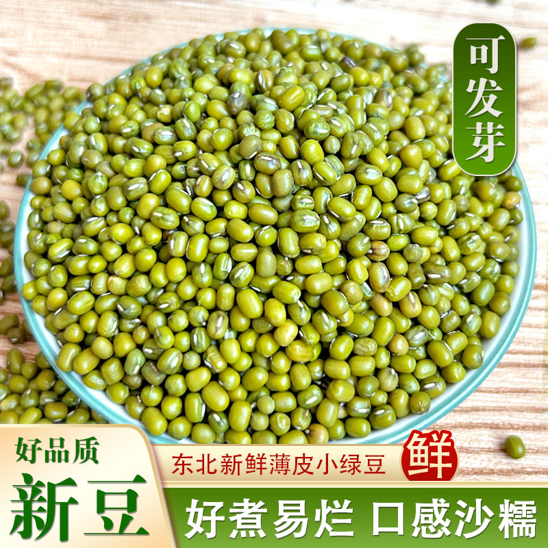 绿豆一斤薄皮优质当季绿豆粥可发芽绿豆汤糕原料农家自种绿豆颗粒