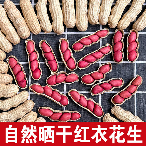 2025年新鲜红皮生花生带壳晒干农家自种四粒红花生生吃红皮花生米