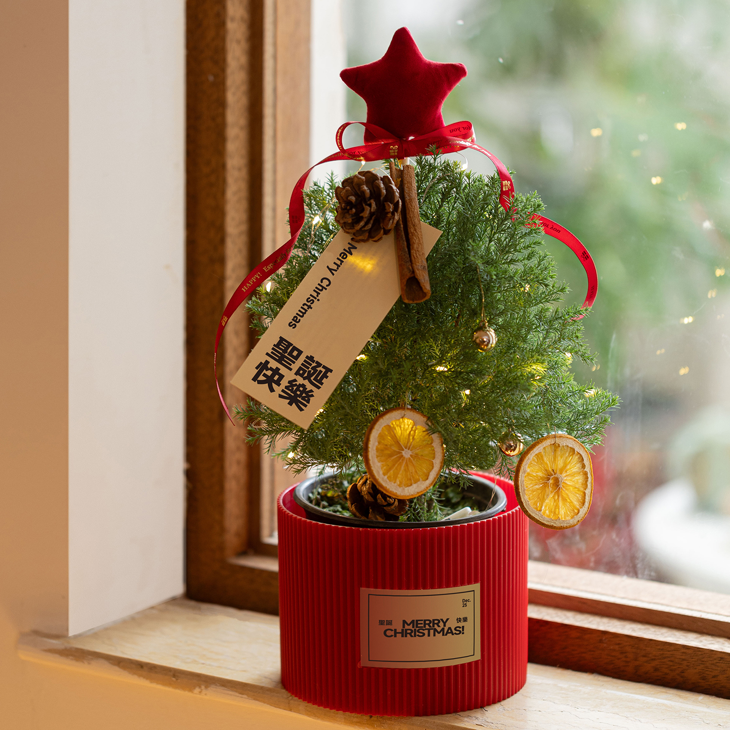 小香松盆栽圣诞树摆件圣诞节礼物