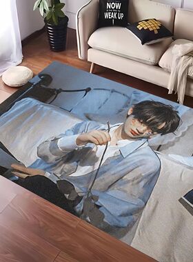 新款丁程鑫爱豆周边防滑耐脏垫轻奢地垫客厅房间床边飘窗阳台宿舍