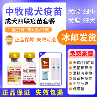 中牧疫苗狗狗单针狗四联疫苗预防犬瘟细小犬腺流感加强针宠物疫苗