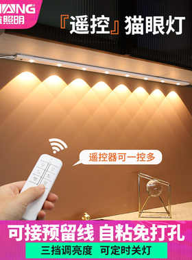 led遥控感应灯鞋柜灯带插电式橱柜灯led柜底灯220v免开槽明装灯条
