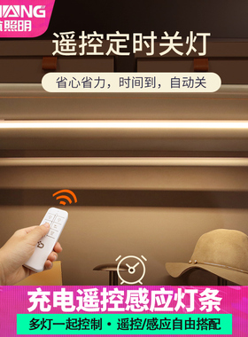 无线遥控灯充电led免布线衣柜灯带酒柜长条智能人体感应橱柜灯条