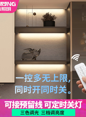 遥控开关鞋柜感应灯带长条免开槽展柜灯具220v可接线led橱柜灯条