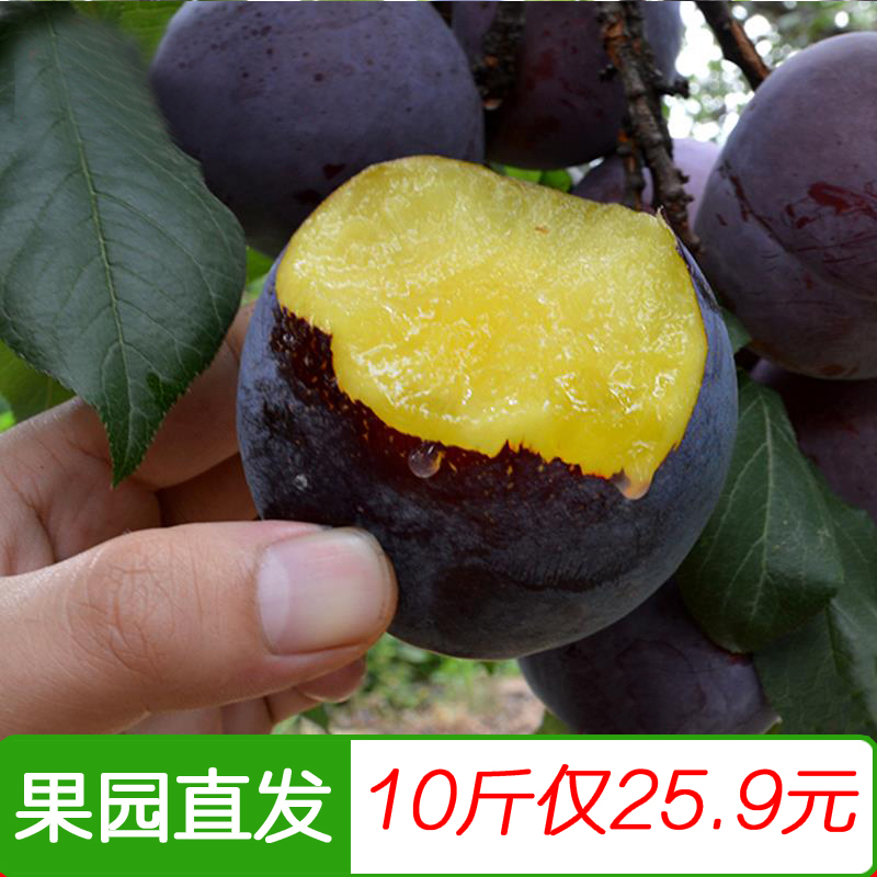 陜西黑布林李子新鮮水果整箱10斤包郵當應季時令脆甜青李非四川5