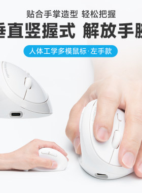 人体工学台式笔记本电脑无线鼠标