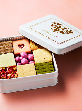 日本 大阪帝冢山 9种口味曲奇礼盒 盒装 约200g