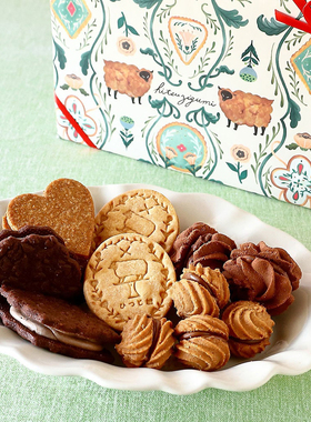 日本 早春限定 5种口味巧克力奶油夹心曲奇 盒装 5种类8袋入